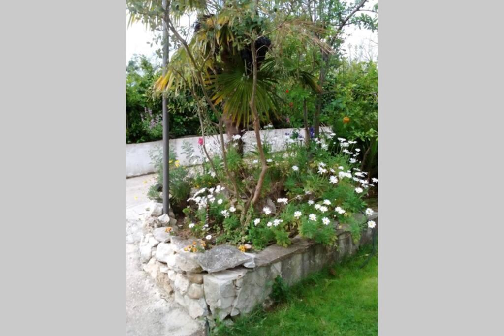 Appartement Residenza Flores à Pescara Extérieur photo